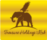 Treasure Holdings USA
